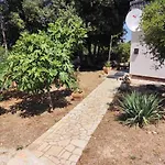 Viva 2 Rovinj